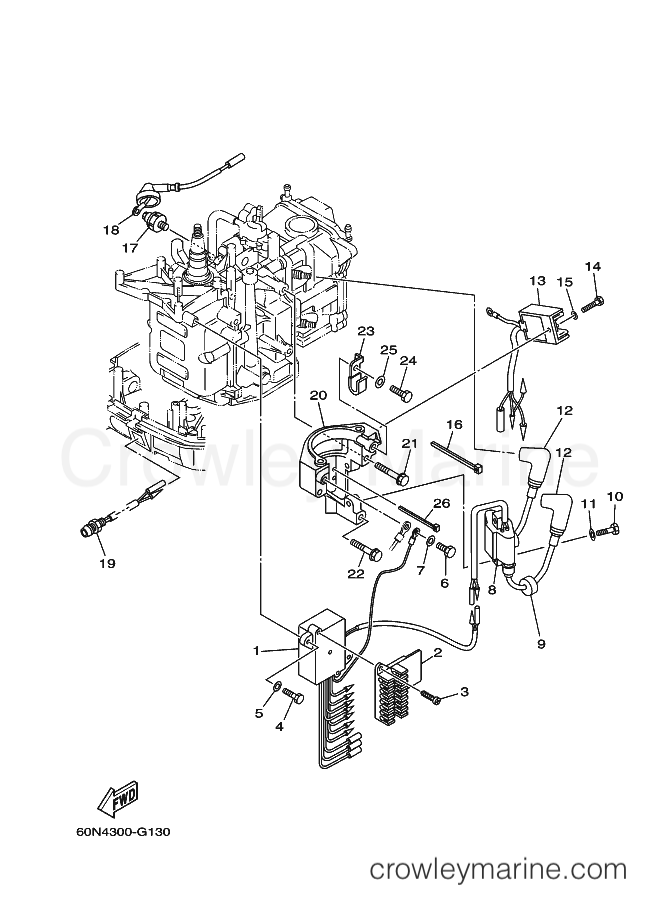 Yamaha Motors F8CMHL (60R8) [100] - ELECTRICAL 1