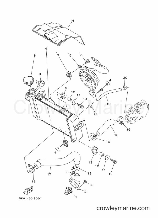 Yamaha Motors VXN150 (BK82) [010] - RADIATOR & HOSE