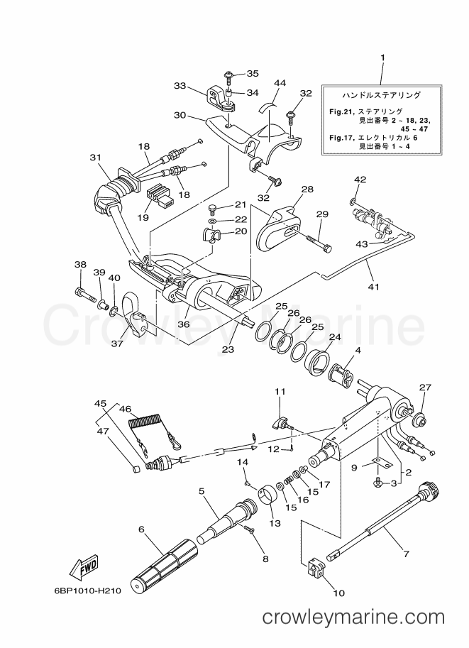 Yamaha Motors F25DETL (6BP3) [420] - STEERING