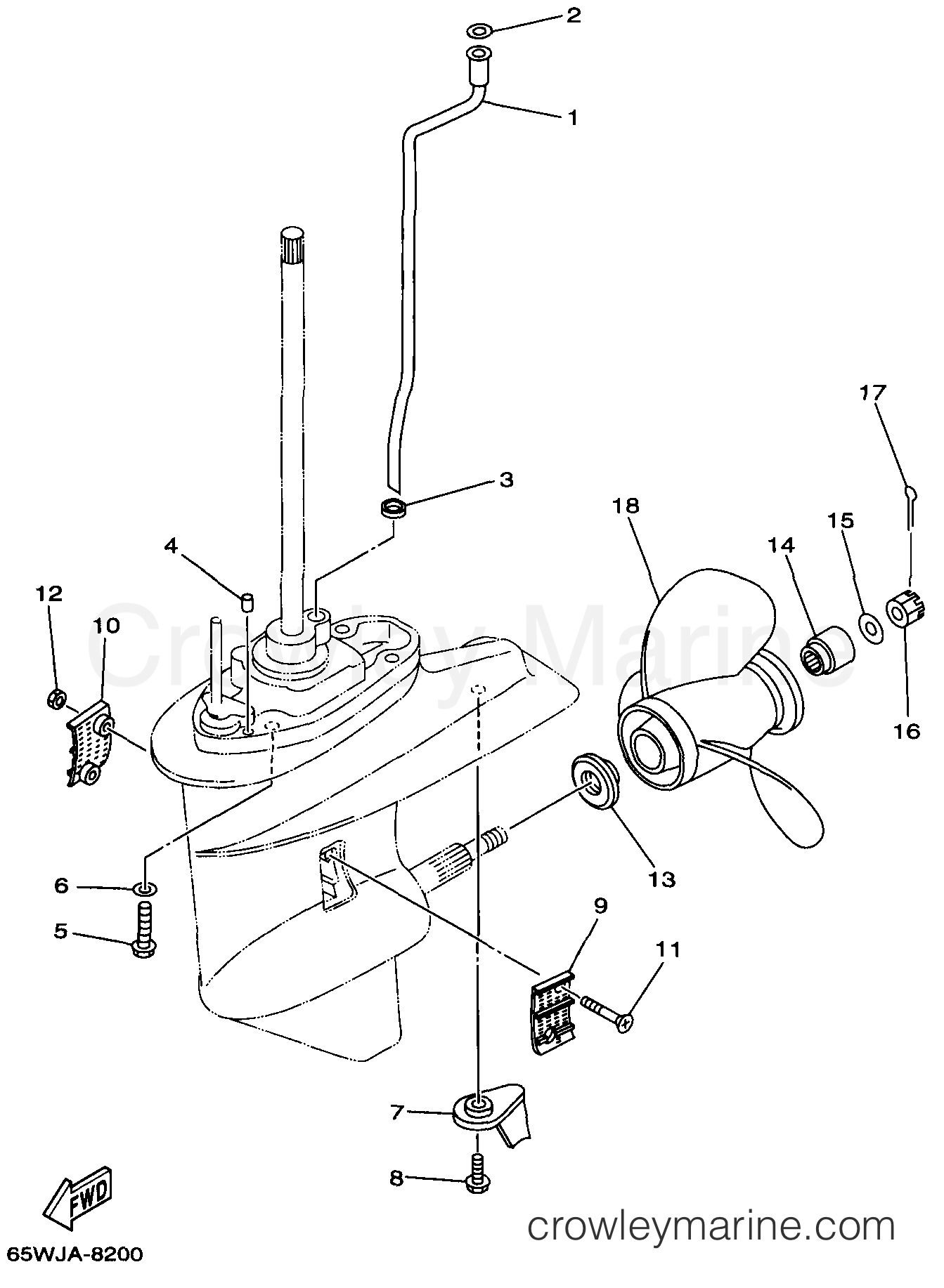 Yamaha Motors F25TLRW - LOWER CASING DRIVE 2