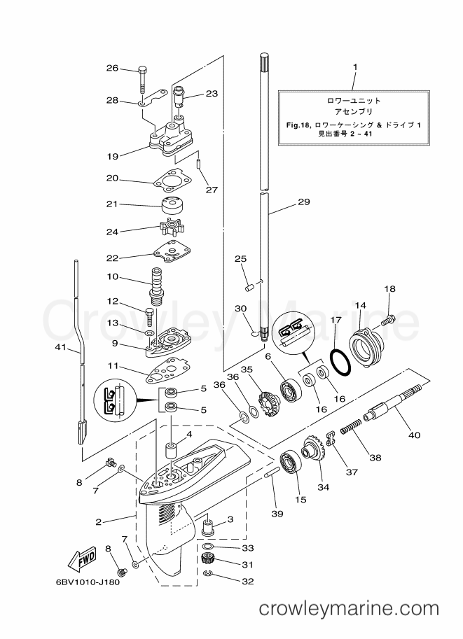 Yamaha Motors F6CMHS (6BX4) [100] - LOWER CASING & DRIVE 1