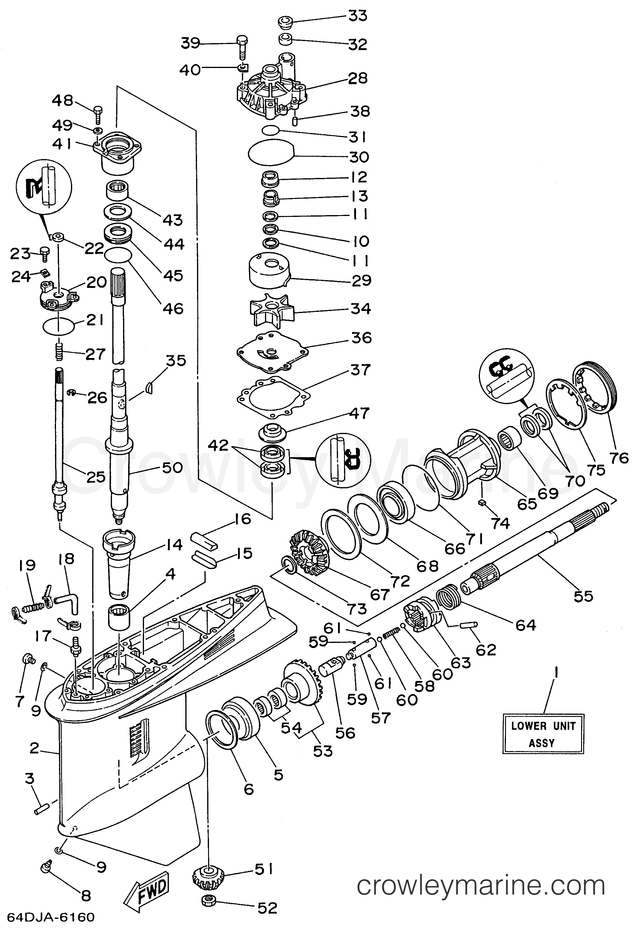 Yamaha Motors 225TLRU - LOWER CASING DRIVE 1