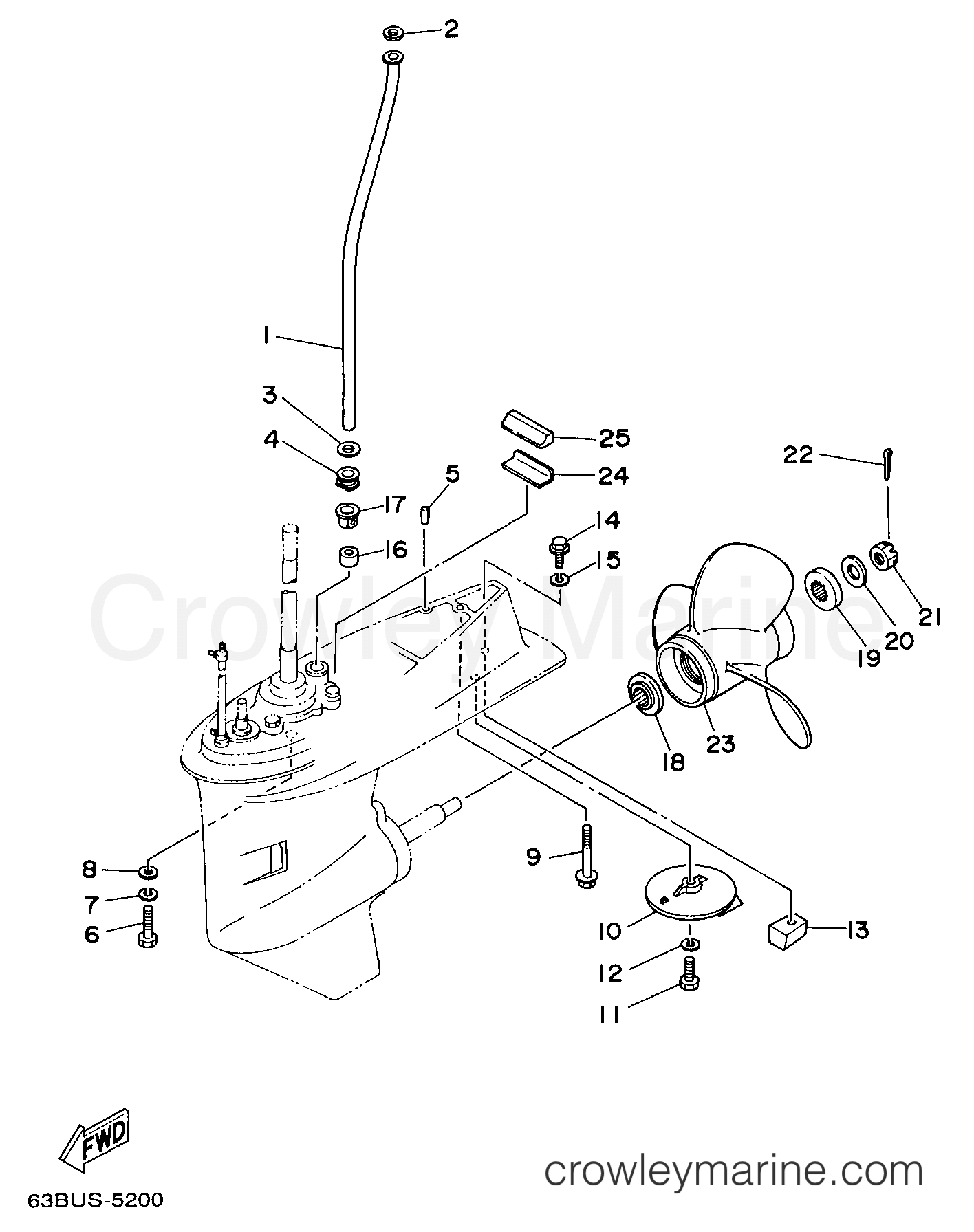 Yamaha Motors C50TLRW - LOWER CASING DRIVE 2