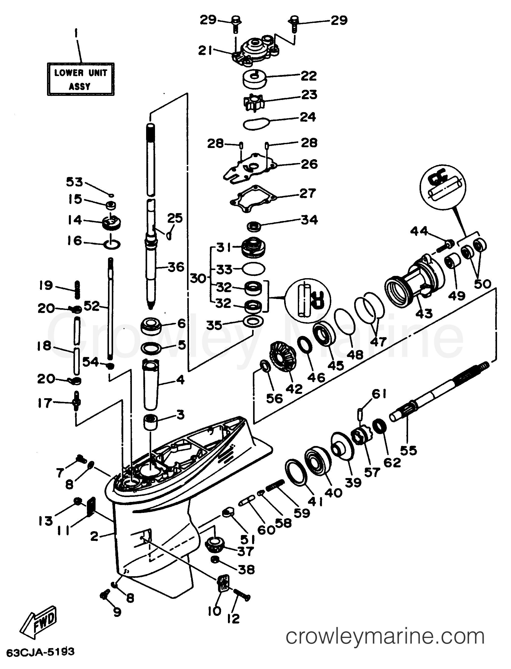 Yamaha Motors C40TLRV - LOWER CASING - DRIVE 1