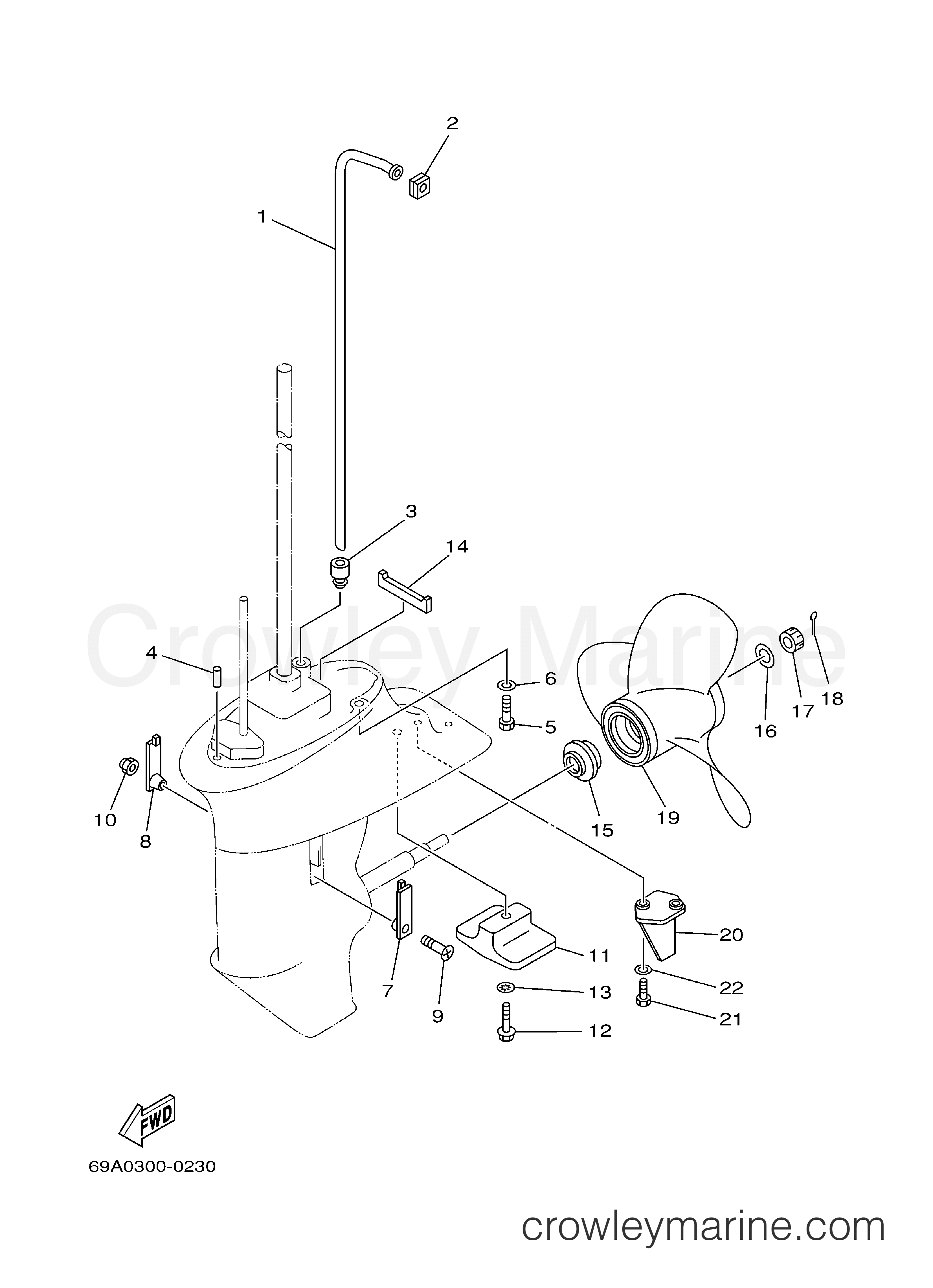 Yamaha Motors F9.9ELR2 - LOWER CASING DRIVE 2