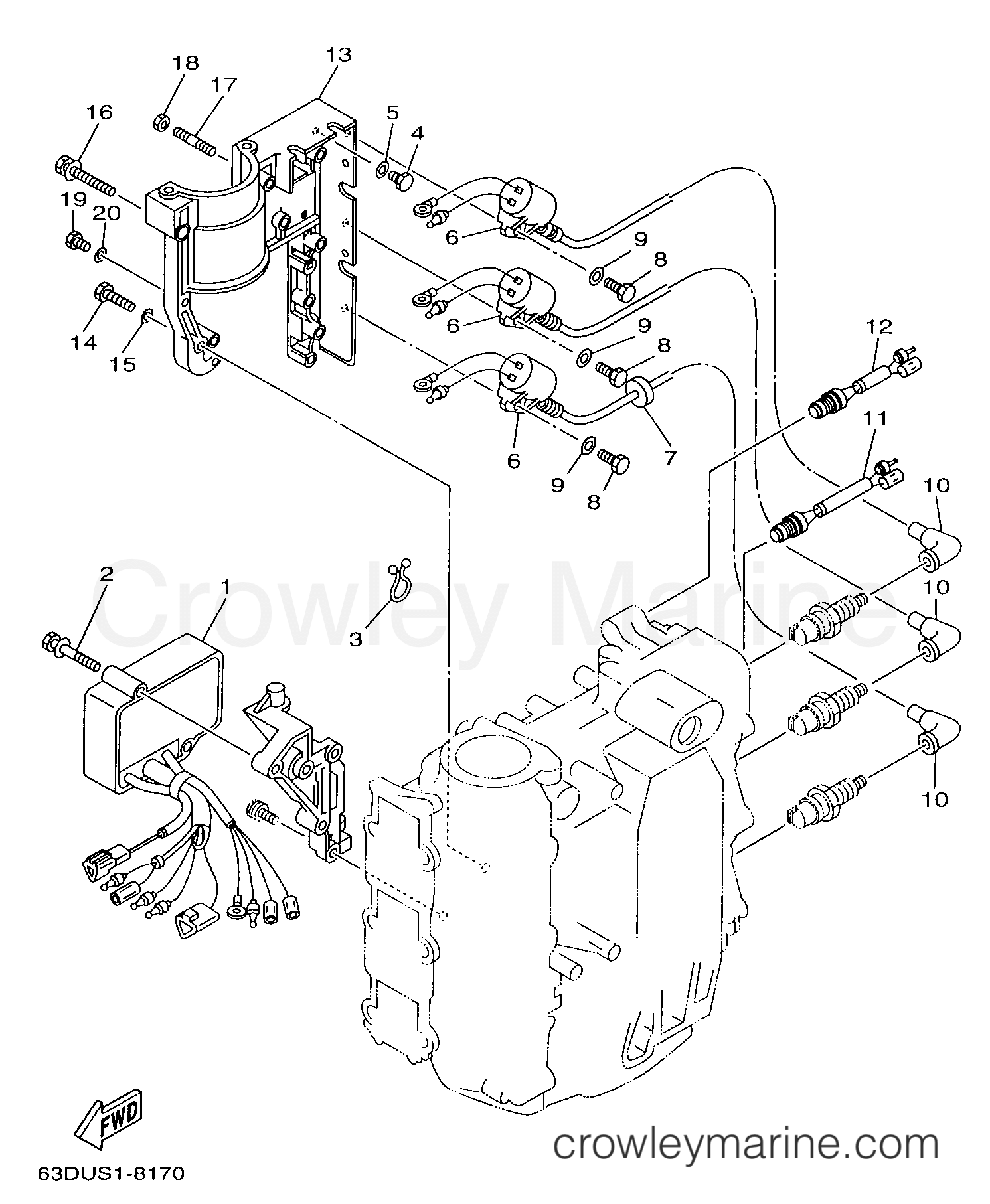 Yamaha Motors C50TLRW - ELECTRICAL 1