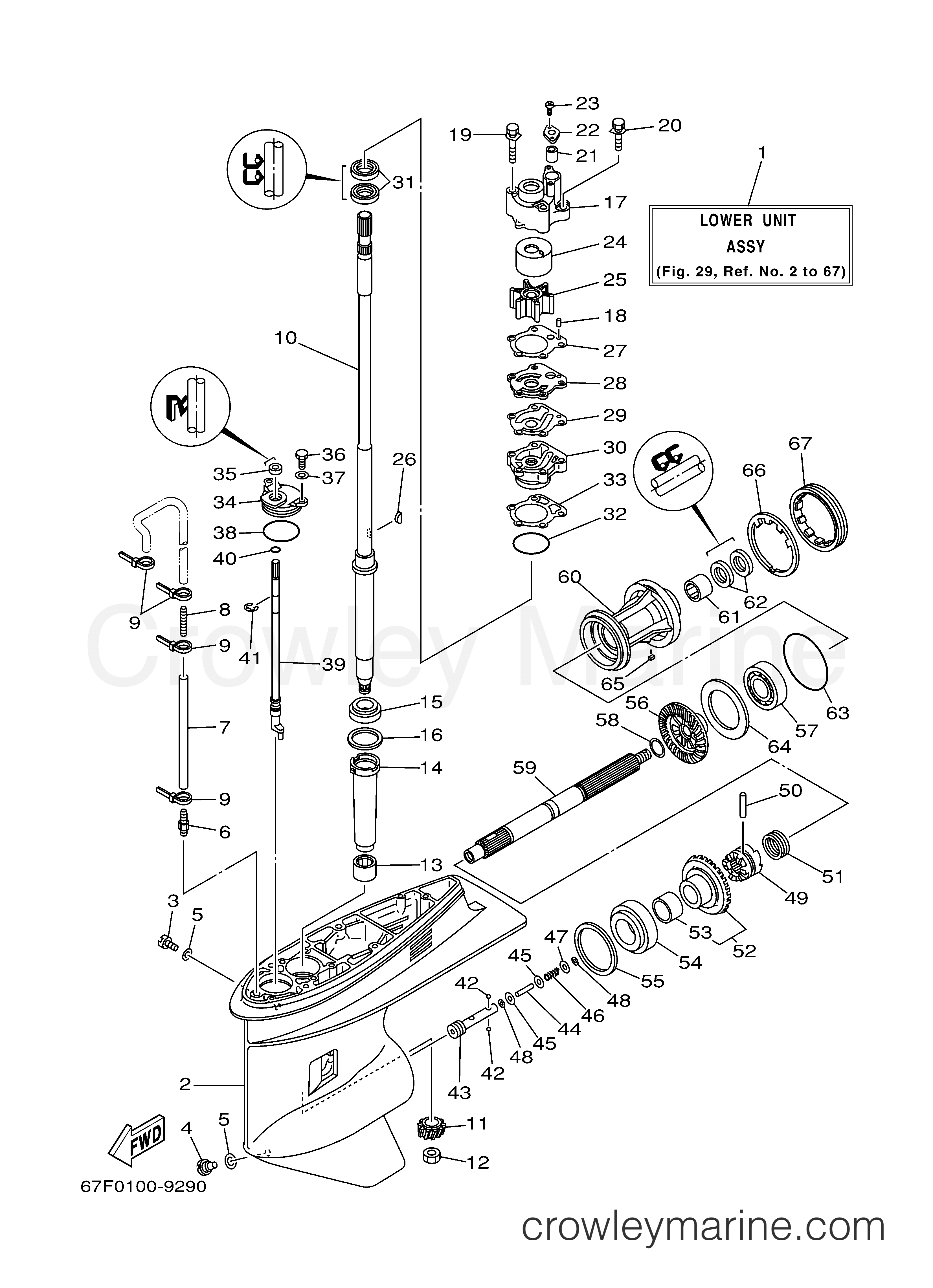 Yamaha Motors F80TLRZ - LOWER CASING DRIVE 1