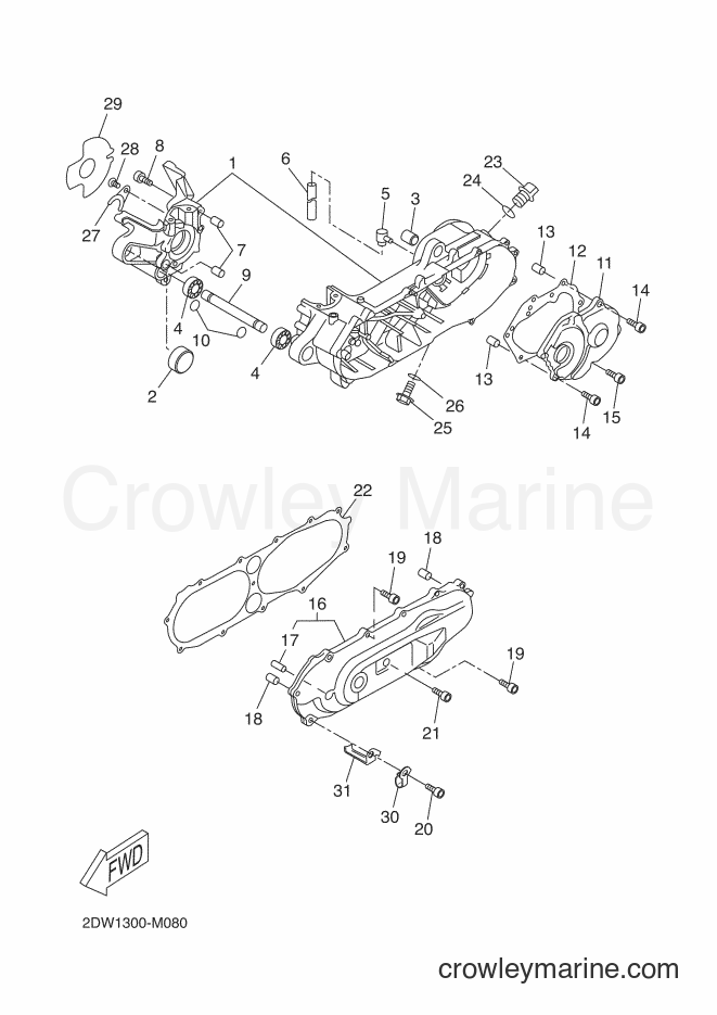 Yamaha Motors CW50E (2DW1) [030] - CRANKCASE