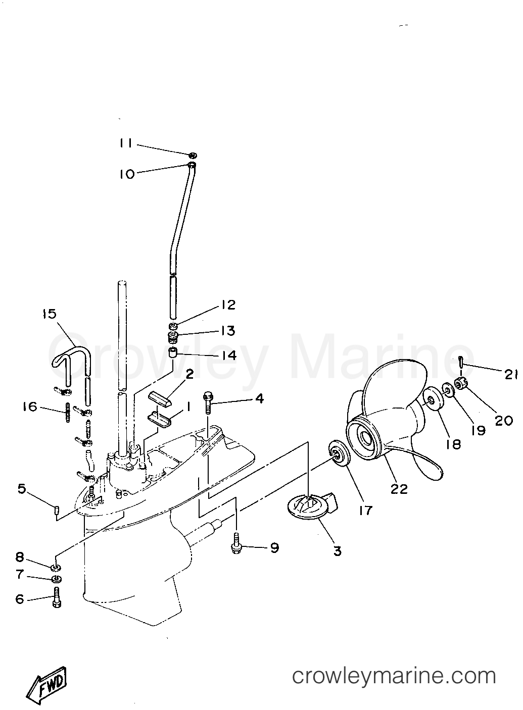 Yamaha Motors P60TLHT - LOWER CASING DRIVE 2