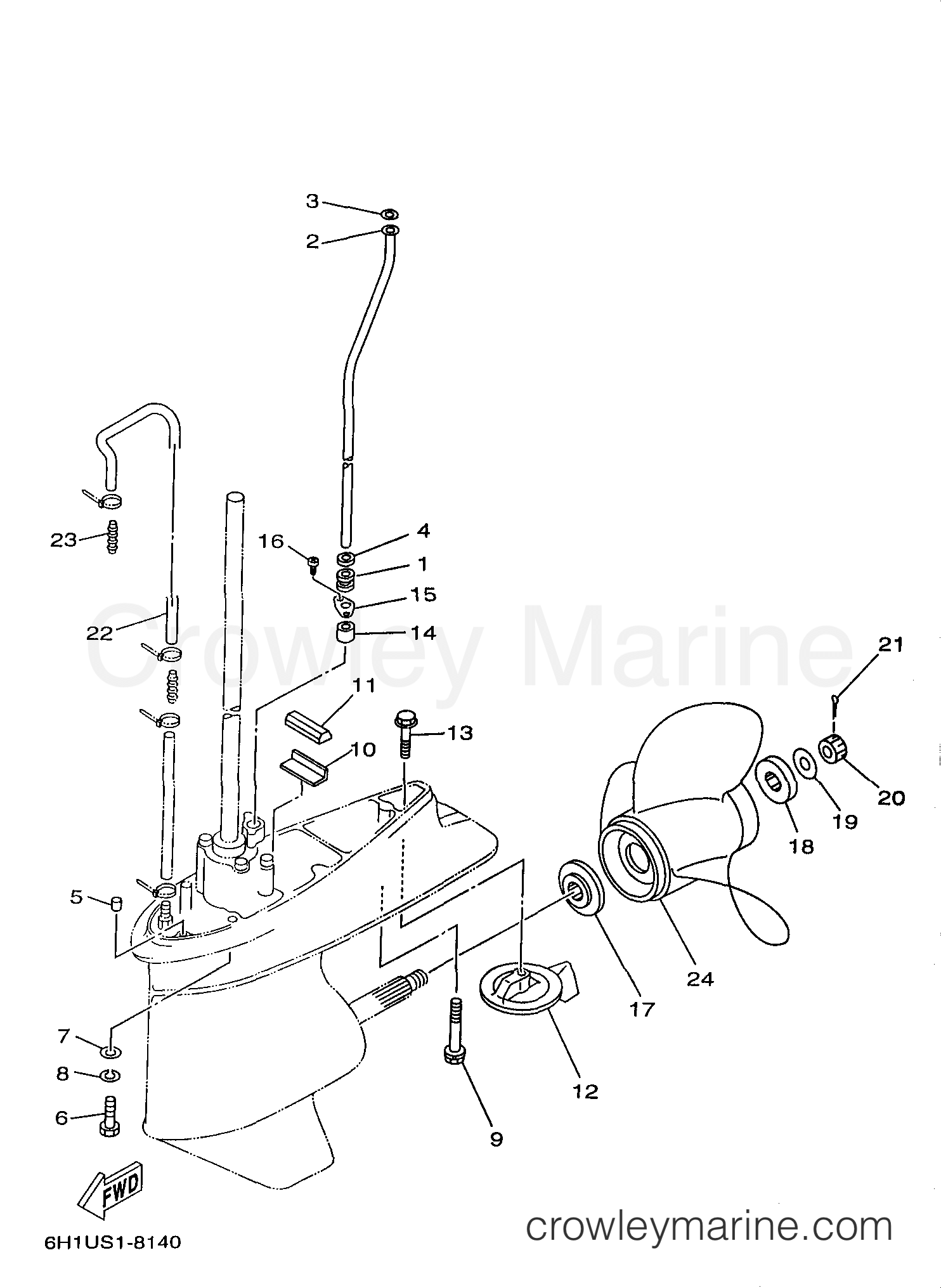 Yamaha Motors C90TLRW - LOWER CASING DRIVE 2