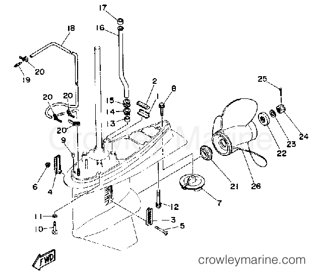 Yamaha Motors C115TLRQ - LOWER DRIVE 2