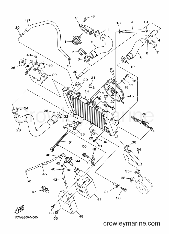 2016 Street Bike XJ6F - XJ6F (2SRC) [010] - RADIATOR & HOSE