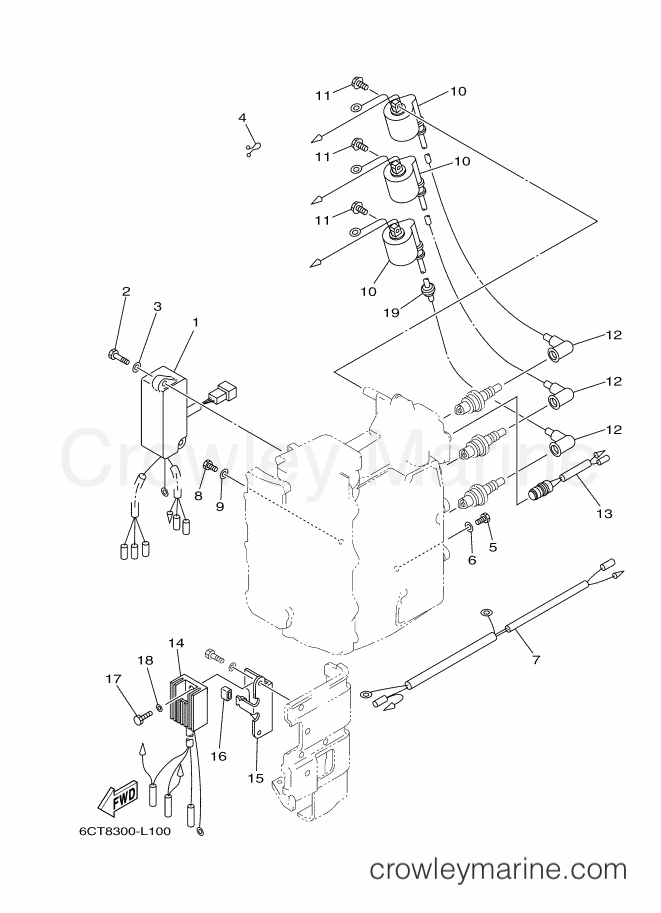 Yamaha Motors 30DMHOL (6CT8) [110] - ELECTRICAL