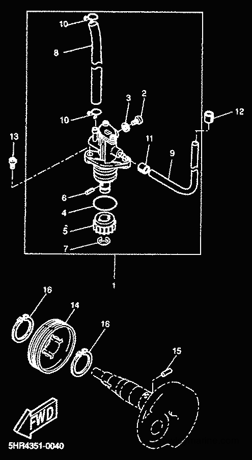 2001 Scooter CW50RS - CW50RS (5FXM) [020] - OIL PUMP