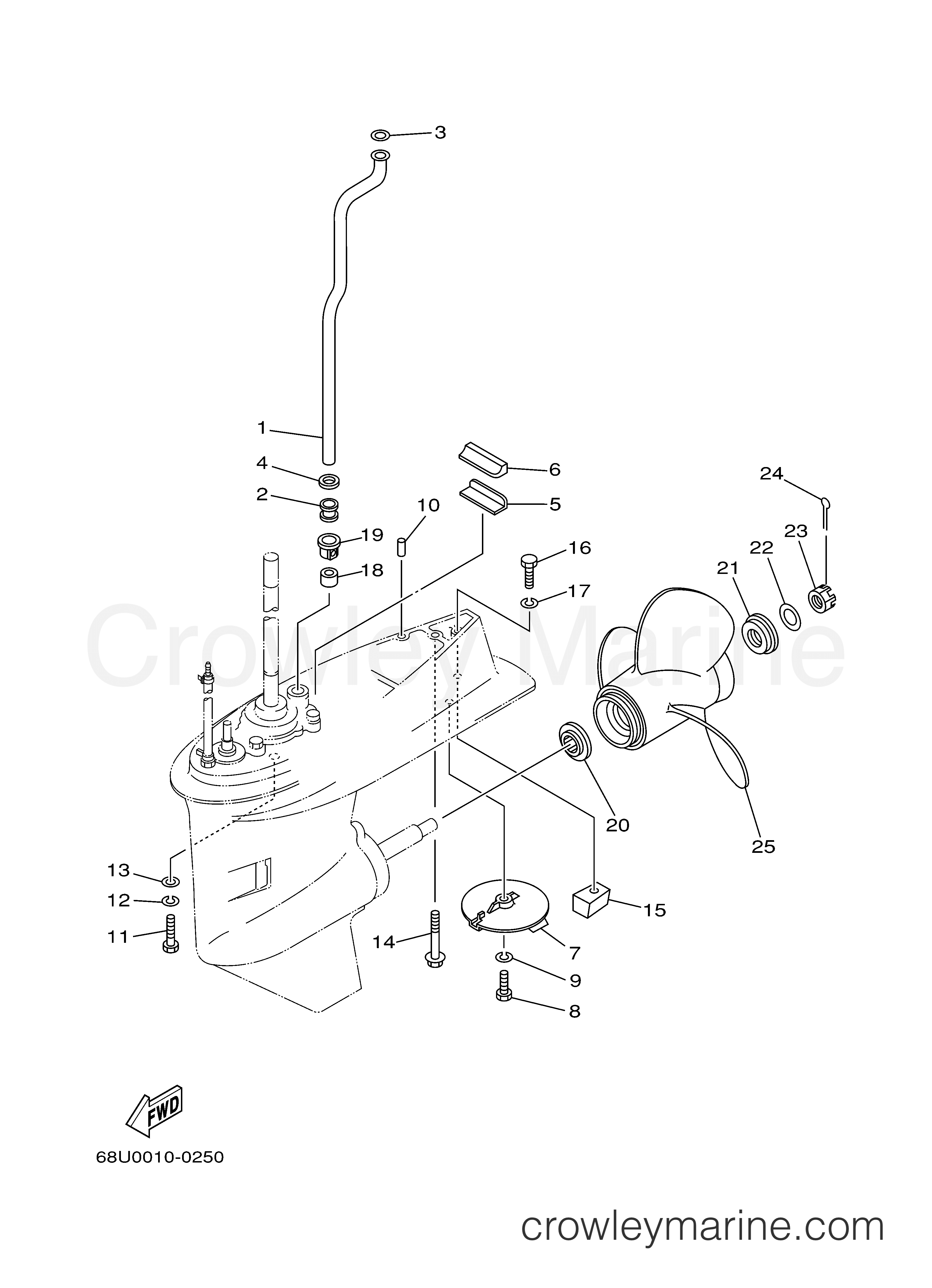 Yamaha Motors T25TLRC - LOWER CASING DRIVE 2