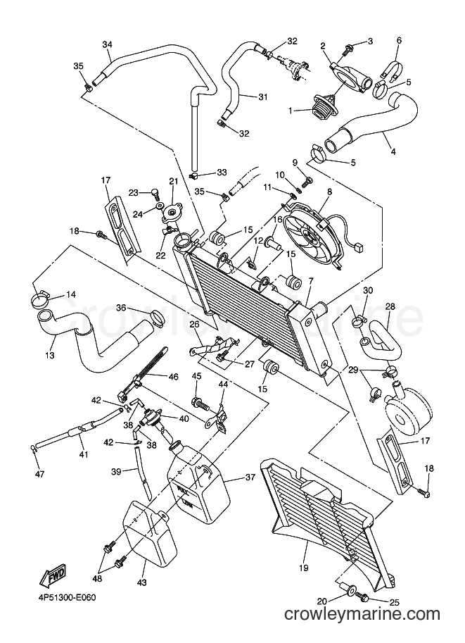 Yamaha Motors FZ6-SA (4P52) [060] - RADIATOR & HOSE