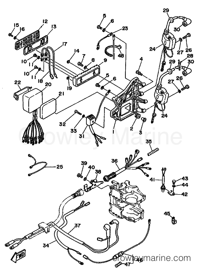 Yamaha Motors 55B (697) [999] - ELECTRICAL