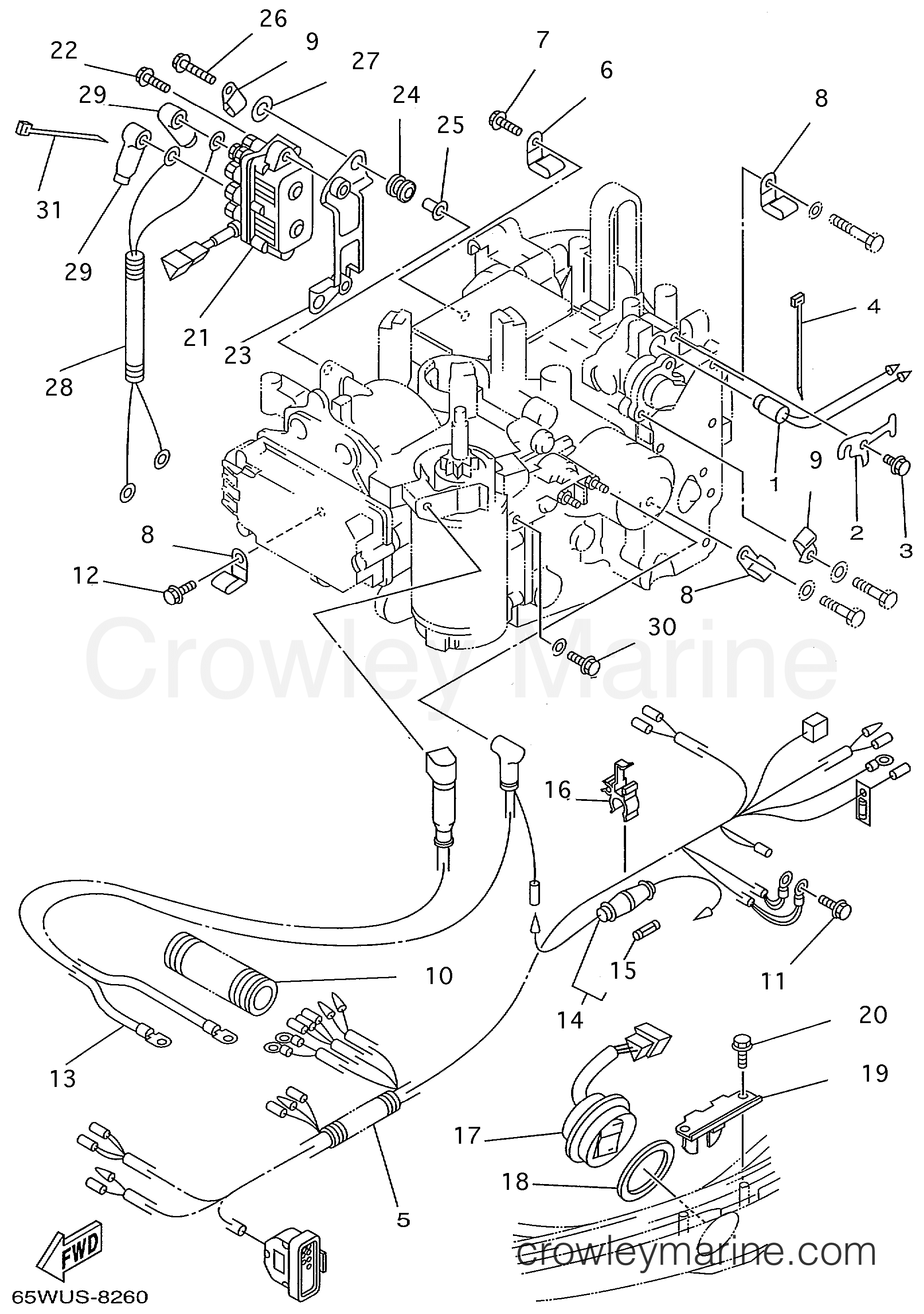 Yamaha Motors F25MLHX - ELECTRICAL 2