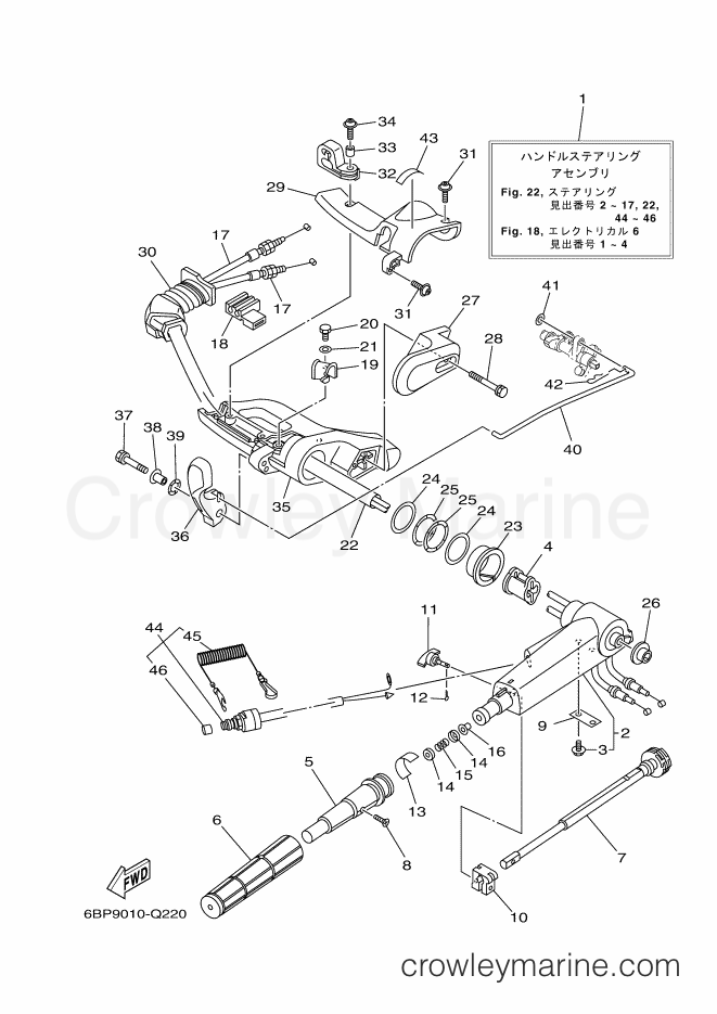Yamaha Motors F25DWHDL (6BP9) [430] - STEERING