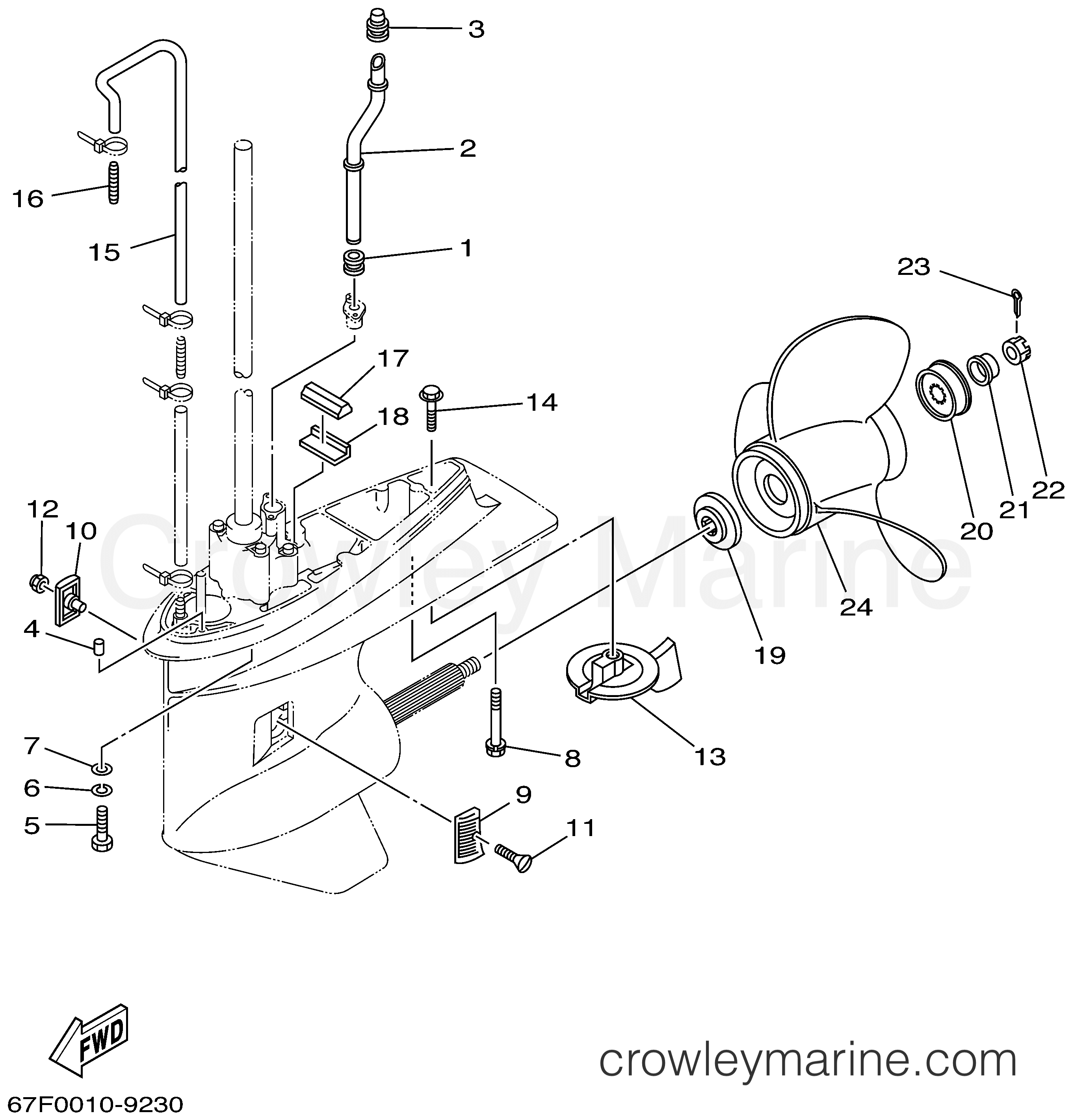 Yamaha Motors F80TJRA - LOWER CASING DRIVE 2