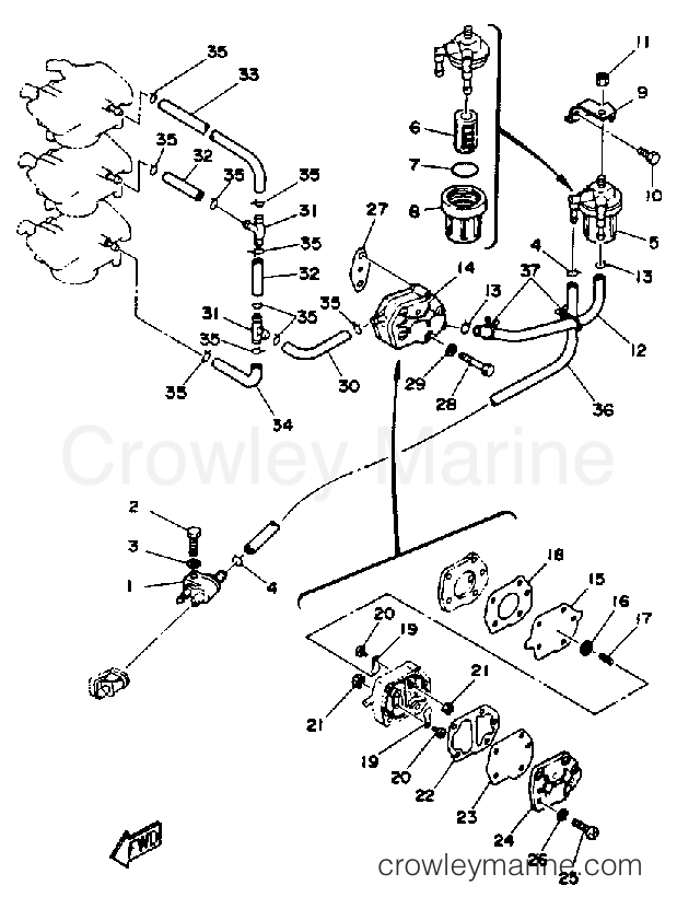 Yamaha Motors P50TLRQ - FUEL SYSTEM