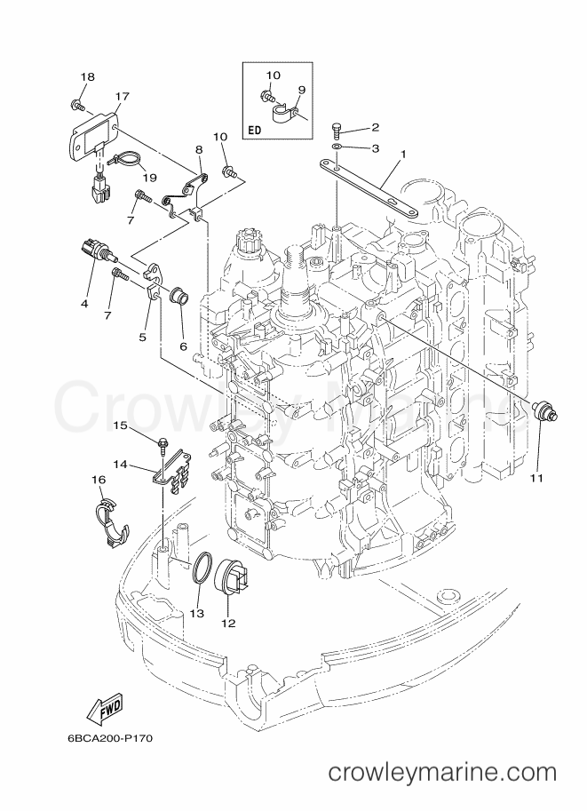 Yamaha Motors F75CEHD (6BCA) [020] - ELECTRICAL 4