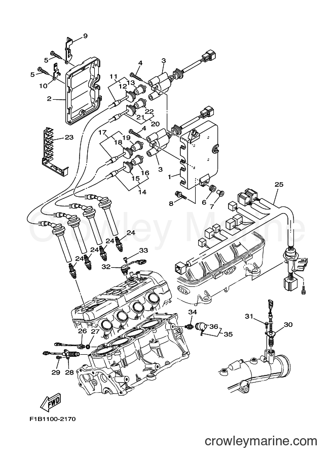Yamaha Motors FX1000-A (F1B1) [020] - ELECTRICAL 2