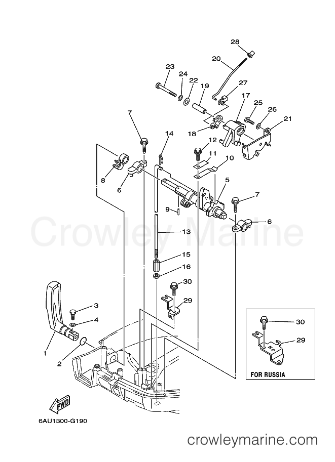 Yamaha Motors F9.9FES (6AU5) [230] - CONTROL 1
