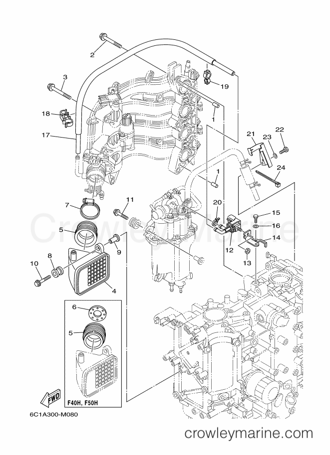 Yamaha Motors F50HED (6C1B) [090] - INTAKE 2
