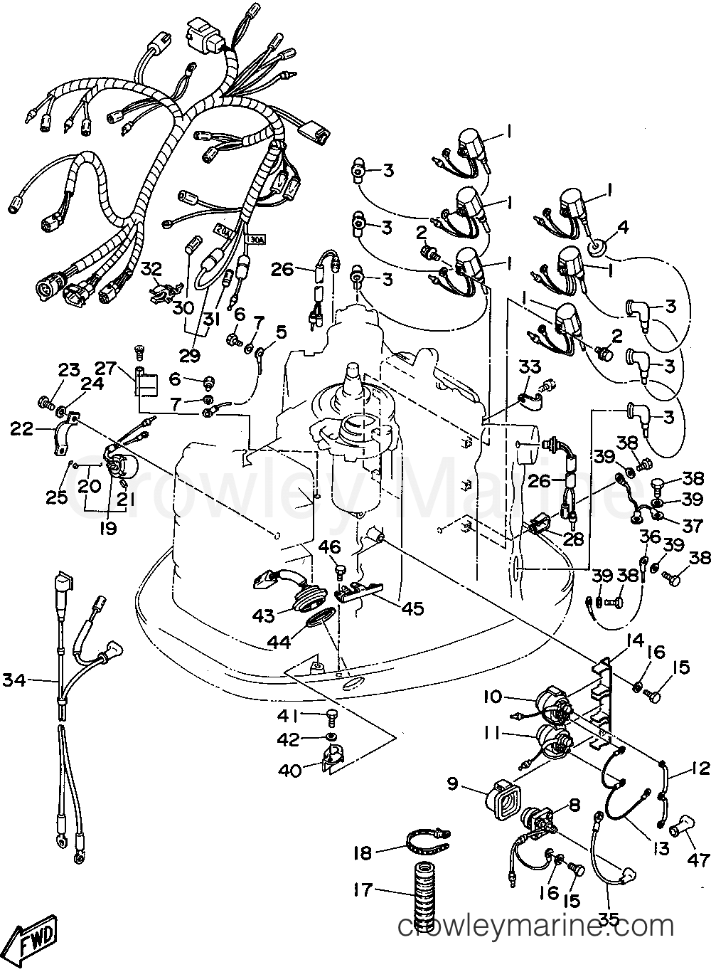 Yamaha Motors 200TXRT - ELECTRICAL 2