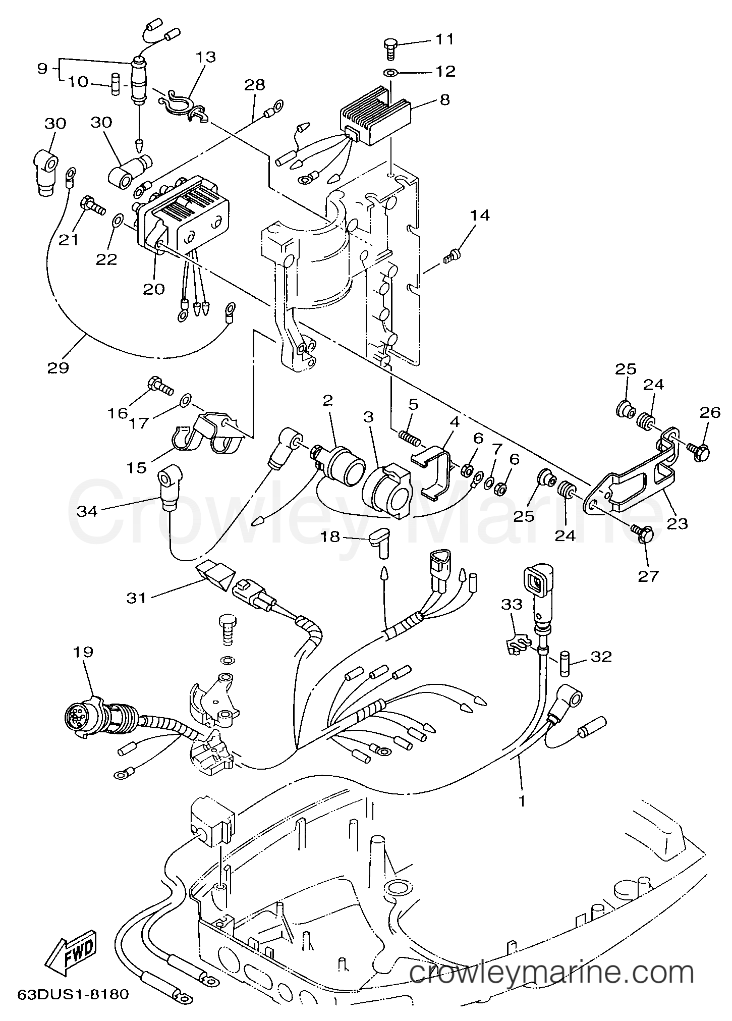Yamaha Motors C50TLRW - ELECTRICAL 2