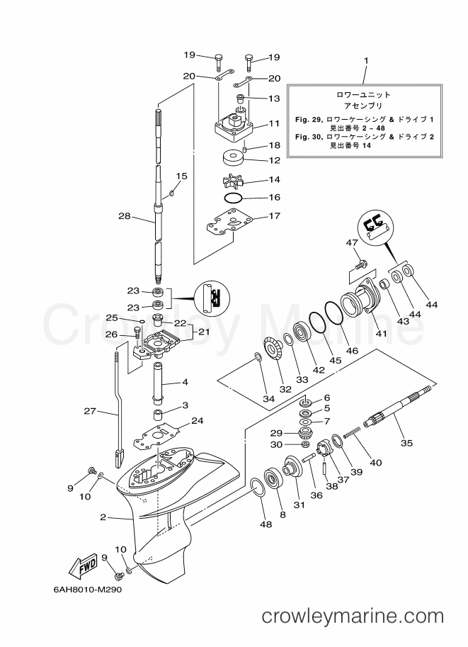 Yamaha Motors F15CEHPL (6AGB) [430] - LOWER CASING & DRIVE 1