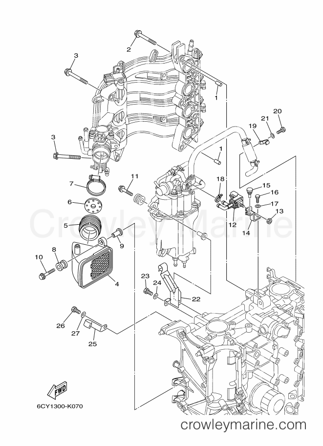 Yamaha Motors F40GETL (6CY2) [020] - INTAKE 2