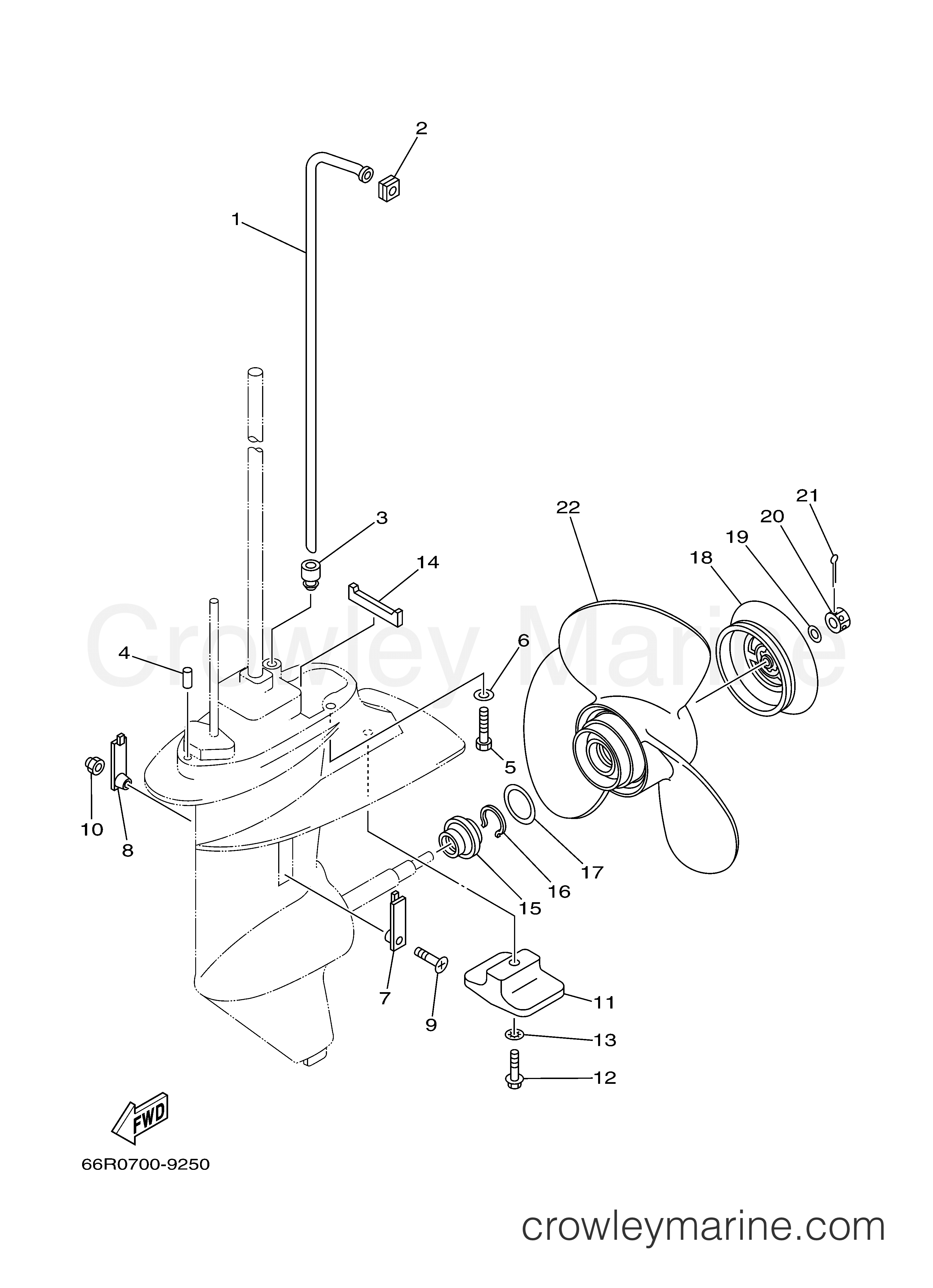 Yamaha Motors T9.9ELR2D - LOWER CASING DRIVE 2