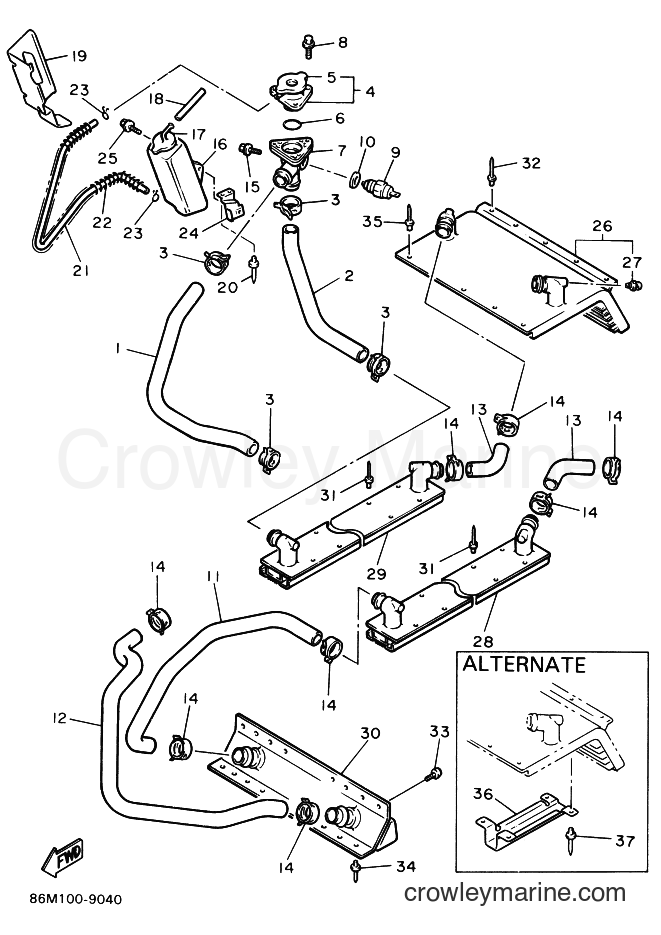 1990 Snowmobile EX570P - EX570P (87N1) [999] - RADIATOR & HOSE