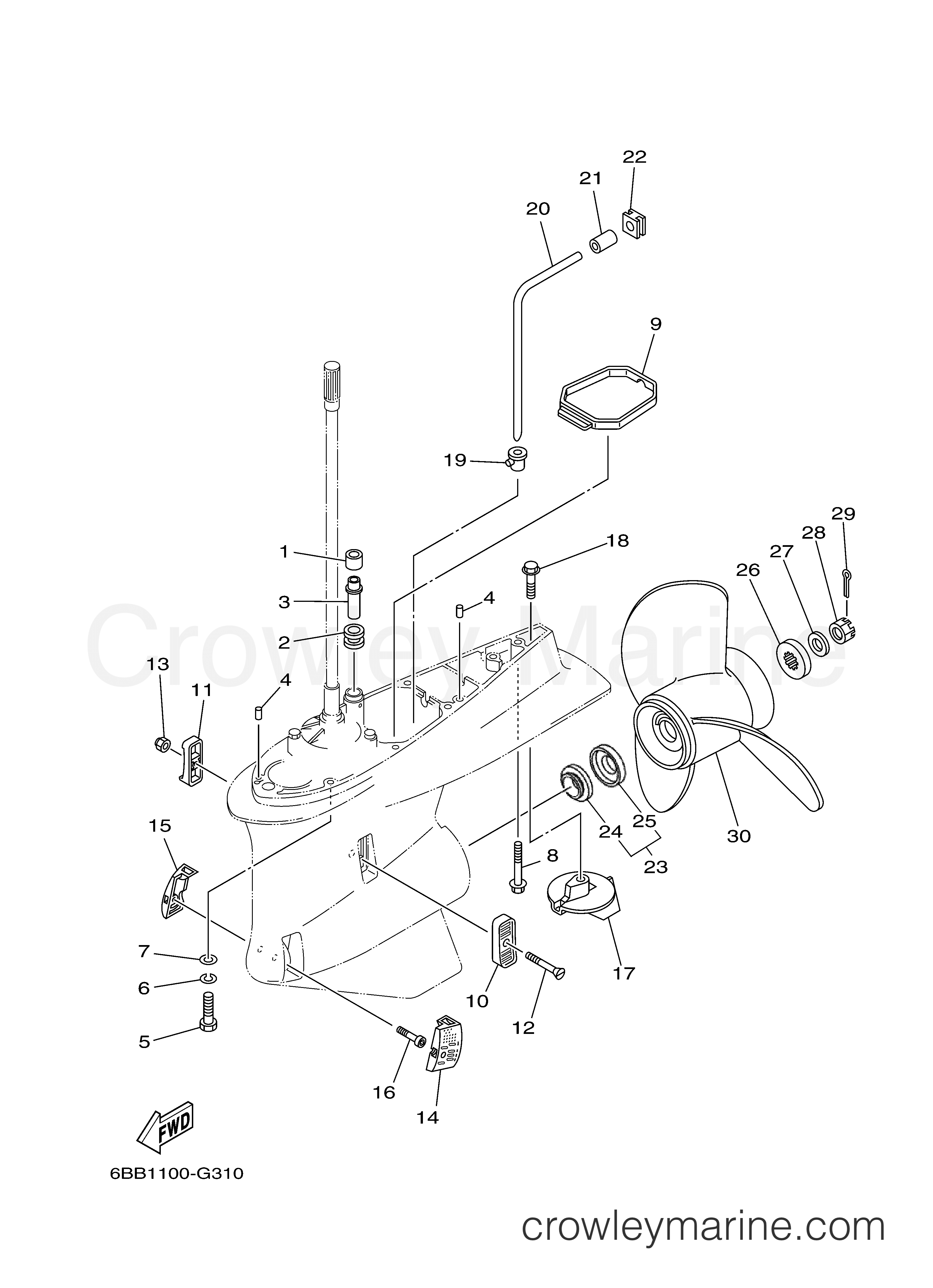 Yamaha Motors F225TLR - LOWER CASING DRIVE 2