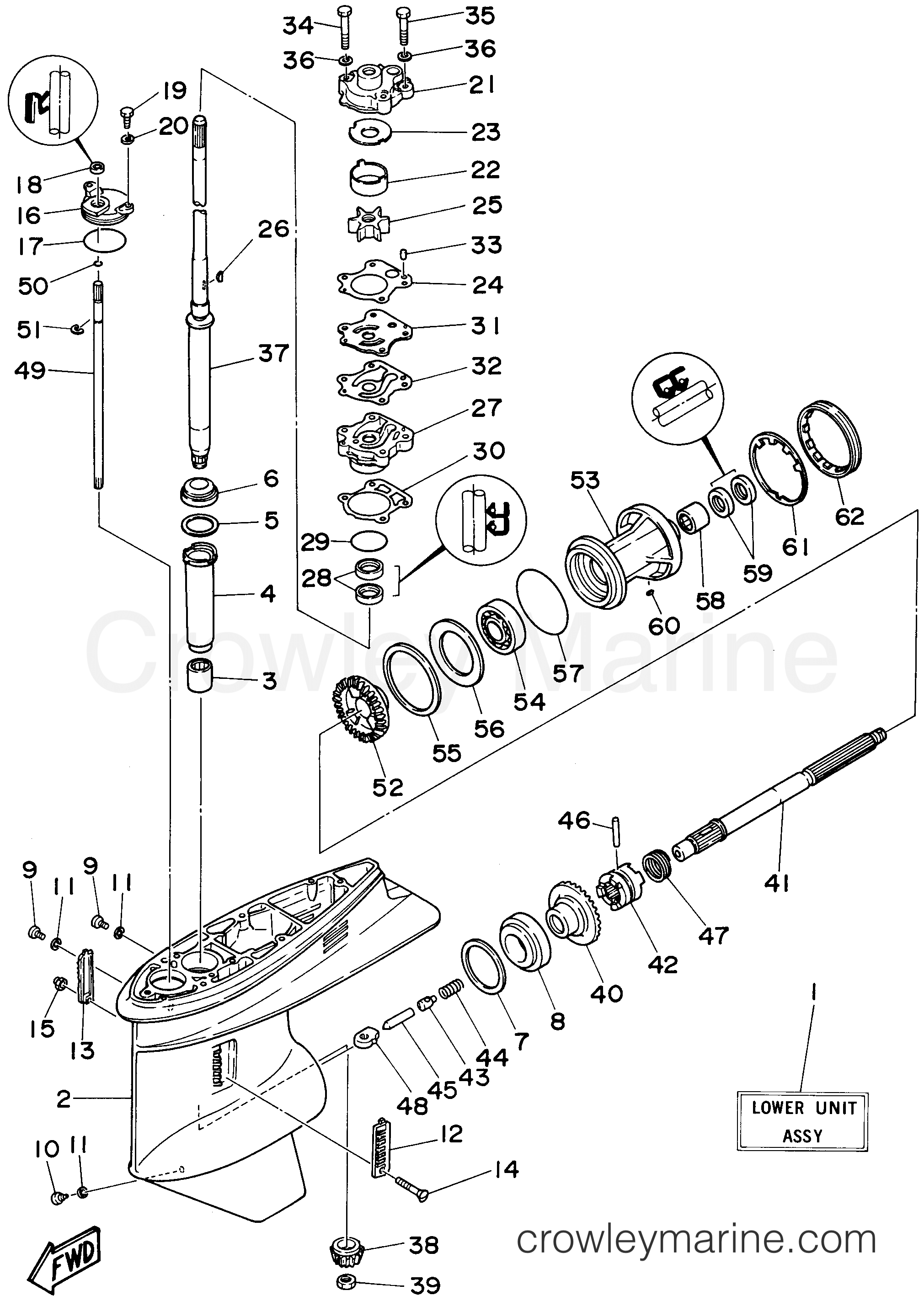 Yamaha Motors E60MLHU - LOWER CASING DRIVE 1