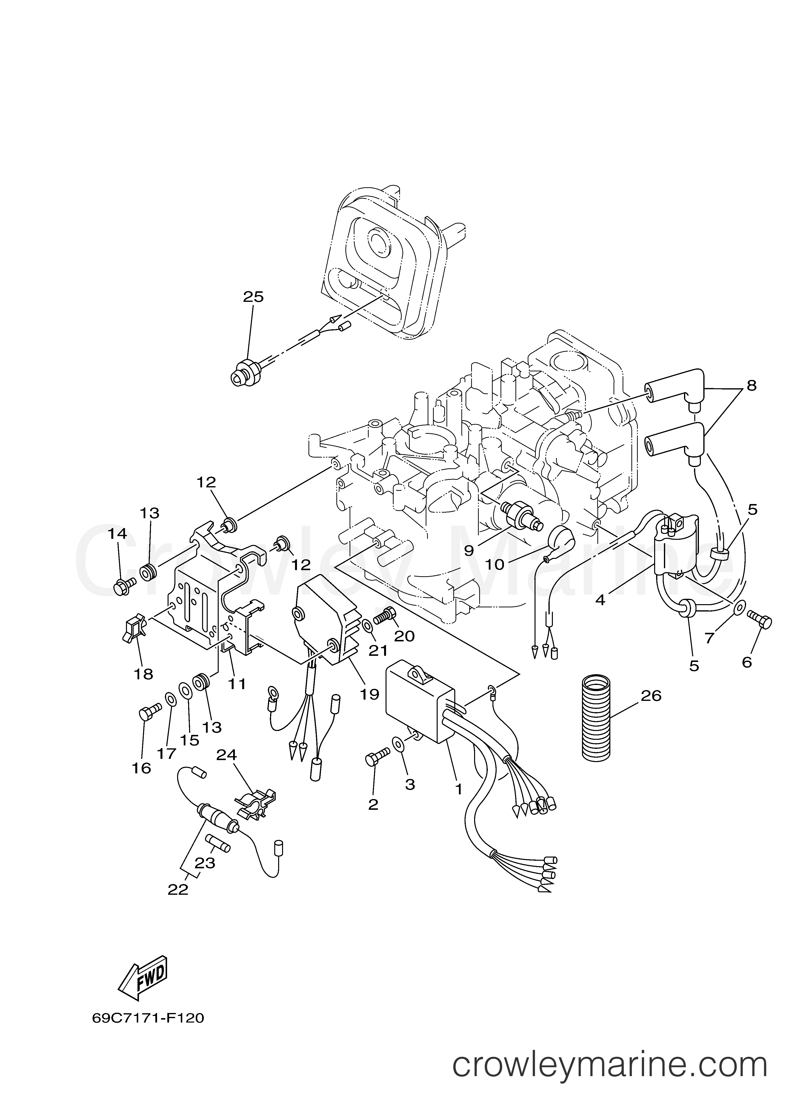 Yamaha Motors F15PLH - ELECTRICAL 1