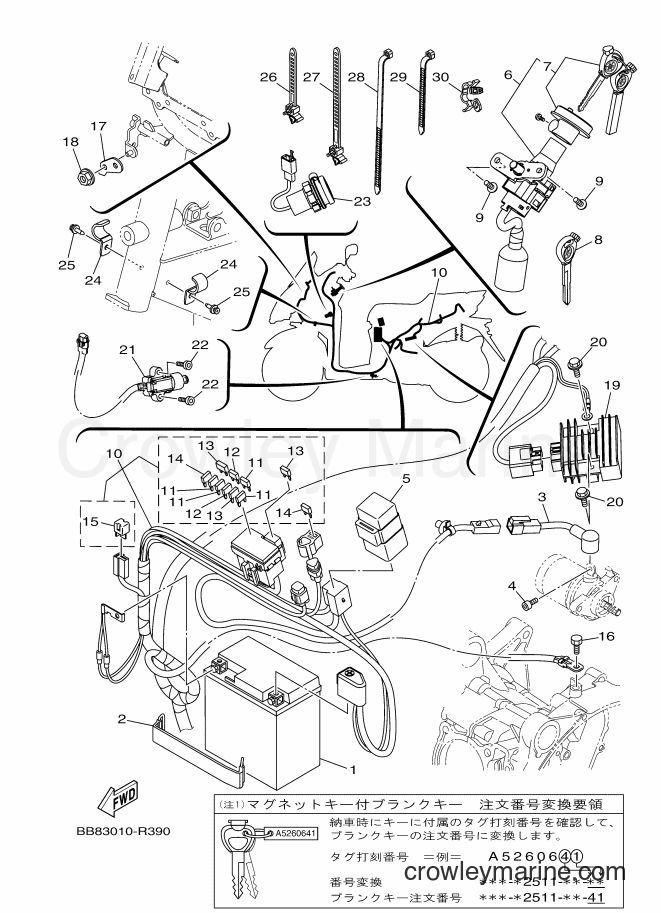Yamaha Motors MWS150-A (BB8B) [010] - ELECTRICAL 1