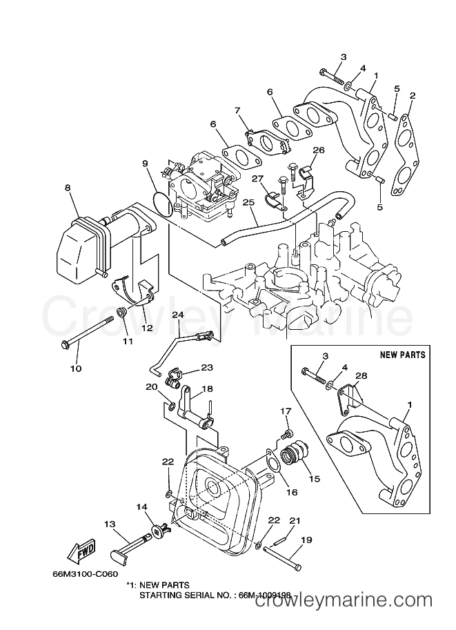 Yamaha Motors F15AEPS (69A3) [020] - INTAKE