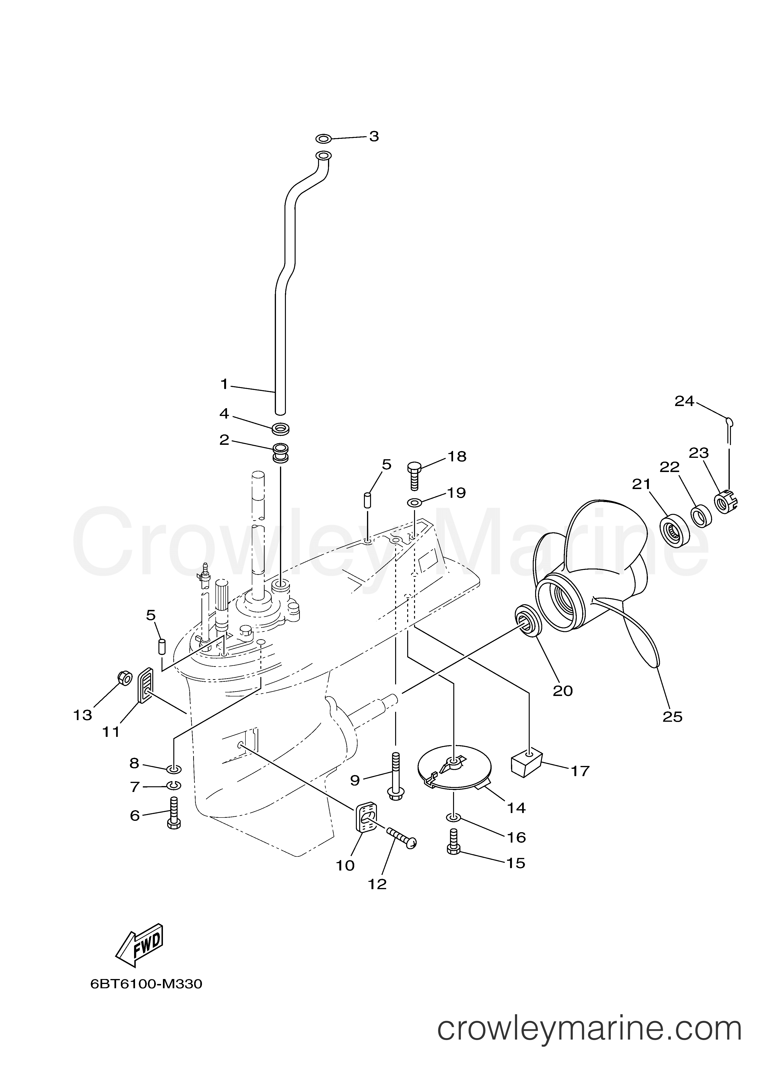 Yamaha Motors F30LA - LOWER CASING DRIVE 2