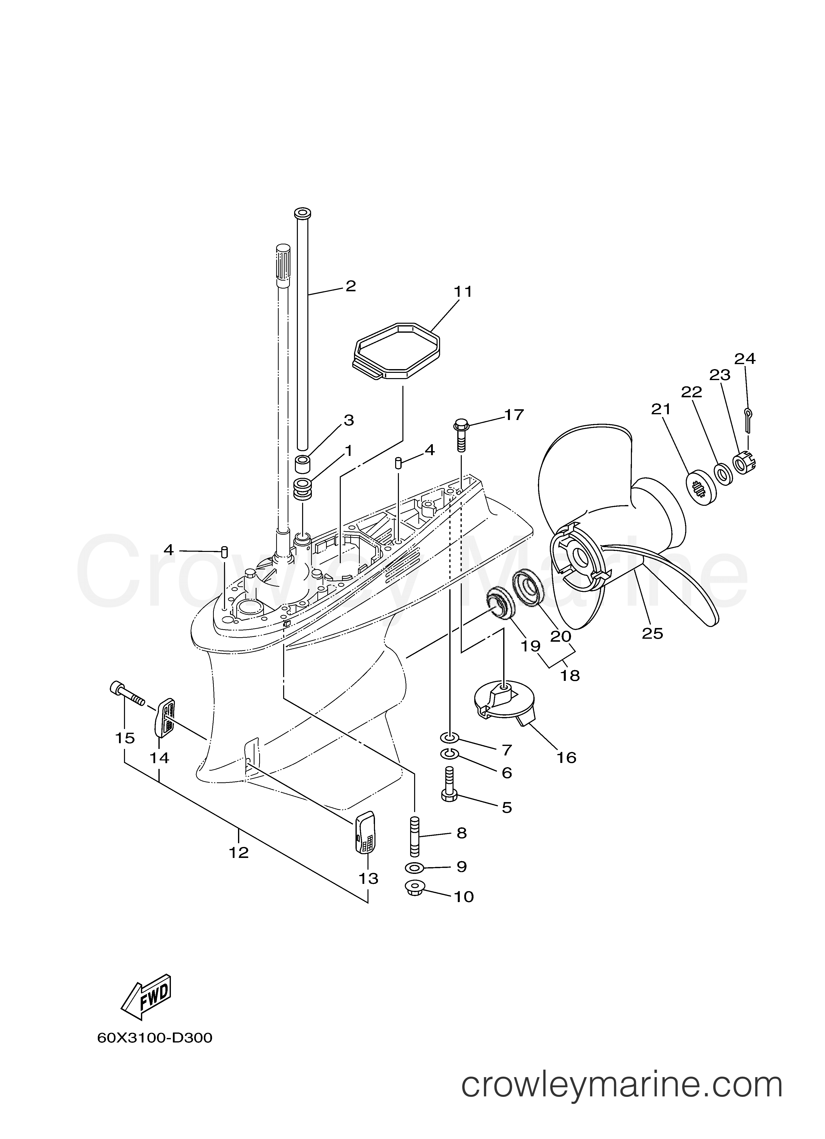 Yamaha Motors VZ250FTLR - LOWER CASING DRIVE 2