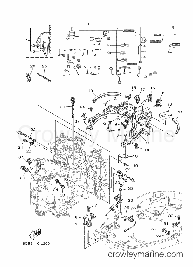Yamaha Motors VF250A (6CB3) [030] - ELECTRICAL 4