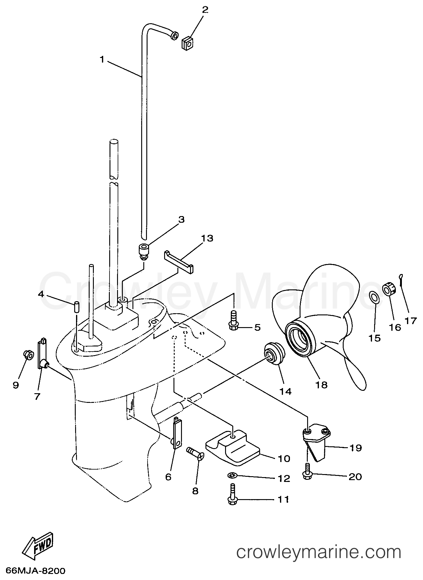 Yamaha Motors F15ESHW - LOWER CASING DRIVE 2