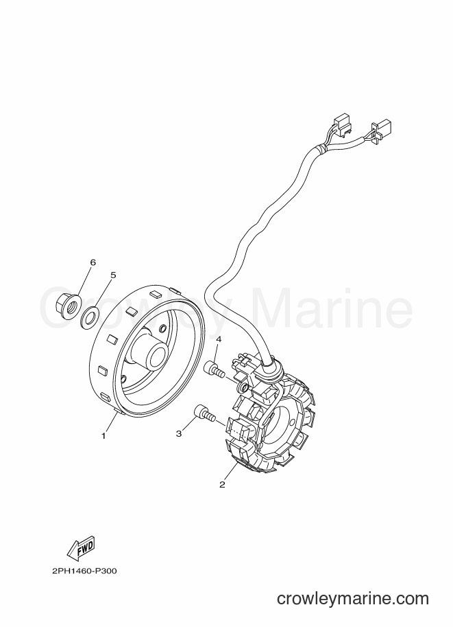 Yamaha Motors LNS125 (2PH4) [010] - GENERATOR