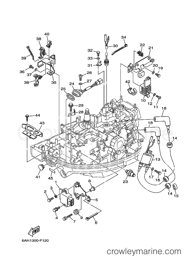 Yamaha Motors F20BMHS (6AH1) [320] - ELECTRICAL 1