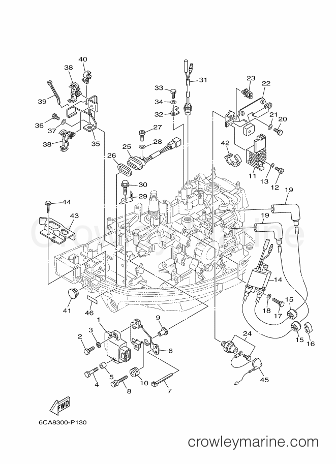 Yamaha Motors F9.9HEL (6CA8) [150] - ELECTRICAL 1