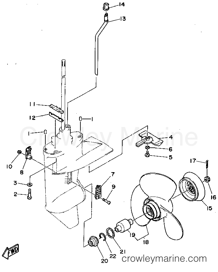 Yamaha Motors T9.9ELRS - LOWER CASING DRIVE 2