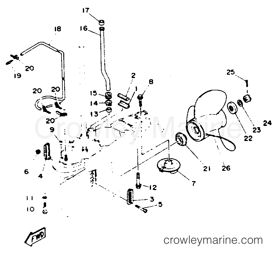 Yamaha Motors C115TXRR - LOWER DRIVE 2