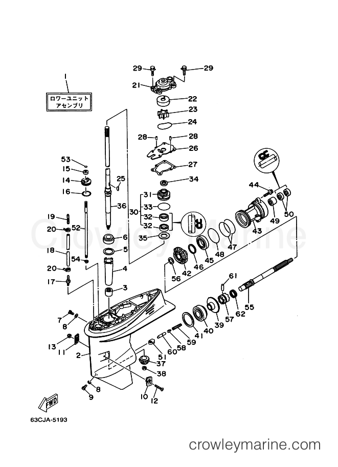 Yamaha Motors 40V (63C) [04I] - LOWER CASING & DRIVE